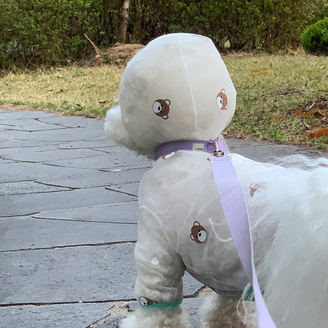 [곰돌이] 강아지 해충방지 옷 진드기 방지 옷 메쉬올인원, 1개