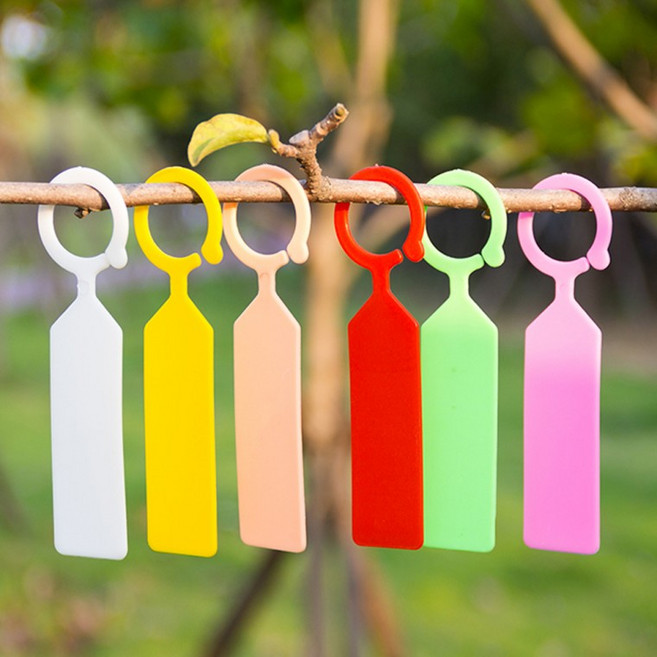 [100개 묶음] 나무 이름표 걸이형 원예 라벨 식물 네임 팻말, 화이트(a)