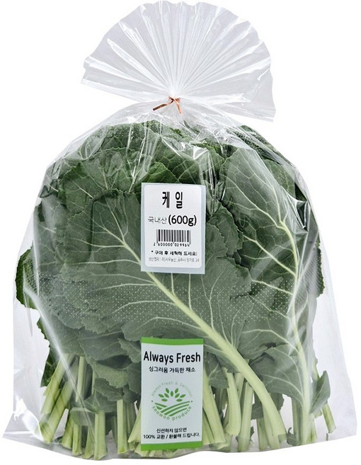 테이블센스 국내산 케일 가락시장 당일경매, 1개, 600g