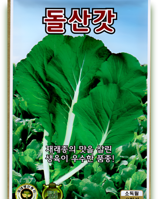 KS종묘 돌산갓 종자 6000립 재래종 향긋한 갓 생육우수 상품성 우수 KS, 1개