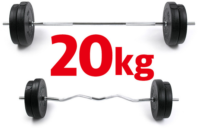 바투스포츠 20kg 역기 세트, 역기봉 없이 원판 20kg만 구매