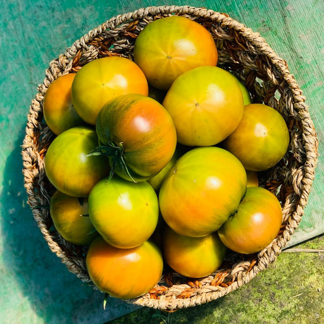 [타임특가] 고당도 제철 대저 짭짤이 토마토, 1박스, 1kg(S)로얄과