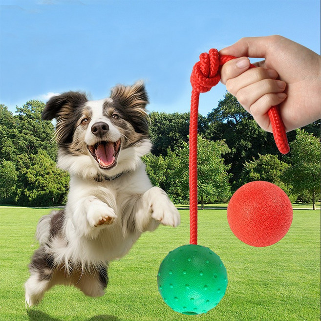 탄력 로프공 펫 트레이닝 강아지 장난감 2종 구성, 1세트, Green+Red