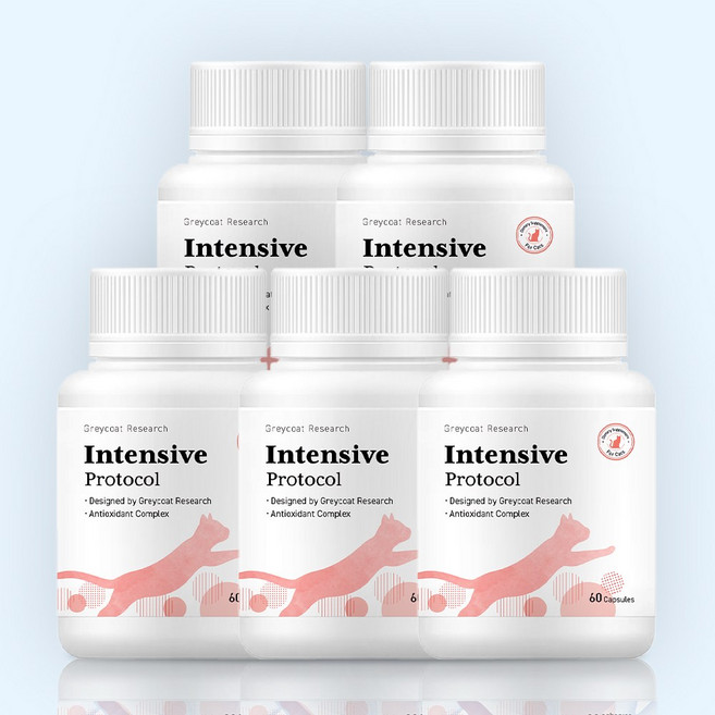 야옹섬 인텐시브 프로토콜 신부전 고양이 신장 항산화제 항노화 영양제 5개입, 60정, 5개