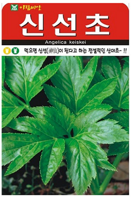 솔림텃밭몰 신선초씨앗 100립 약초씨앗 산야초 민속채소 신선초, 1개