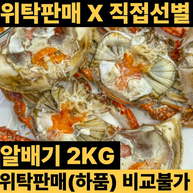 국내산 생물 알배기 활꽃게, 1개, 2kg