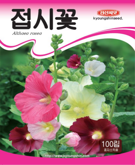 접시꽃씨앗 100립 다년생꽃 봄 가을 파종 경신