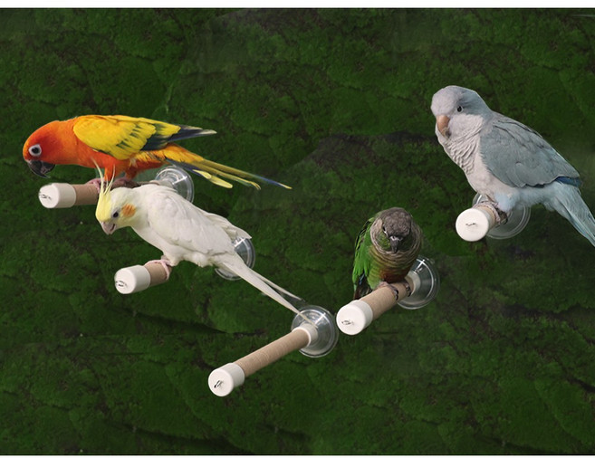 앵무새장난감 장난감 공 횃대 / 새 앵무새 놀이터 사다리 용품 장난감 새장, 종 사다리 그네 횃대, 1개