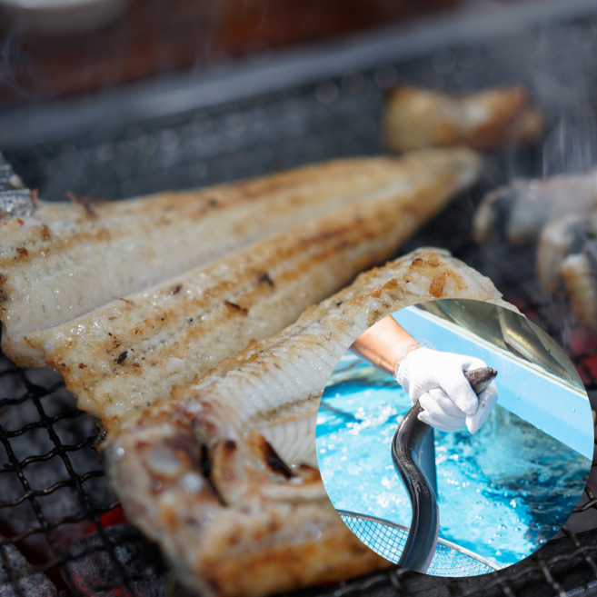 [통영직송] 통영 장어 바다장어 붕장어 대 특대 1kg 2kg 3kg 소스 증정, 2-1. [대] 1kg (4-8미) + 소스 2개, 1개