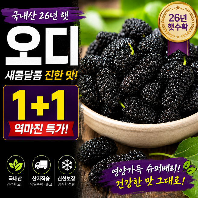 [1+1역마진특가!] 새콤달콤 26년급냉 국산 오디, 1박스, 2kg (특품)
