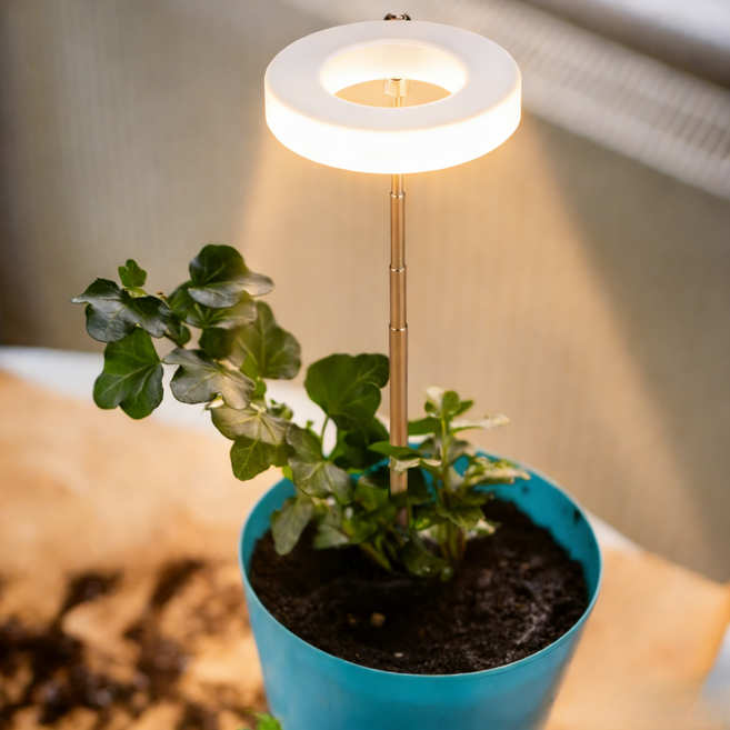 LA DERIVE 식물재배등 생장촉진 LED 식물등 화이트 아우라 식물 LED등 실내재배등 10단 라이트 조절 타이머 기능(3H/9H/12H), 1개