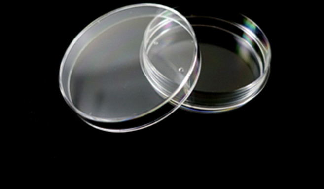 바이오로드 멸균 페트리디쉬 (샬레) 60x15mm 10개입, 1팩(10개입)