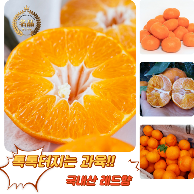 [굿피플] 레드향 제주도레드향 못난이레드향 천혜향 한라봉 감귤 한라봉, 1박스, 가정용 레드향 2kg 중소과 (7-10과 내외)