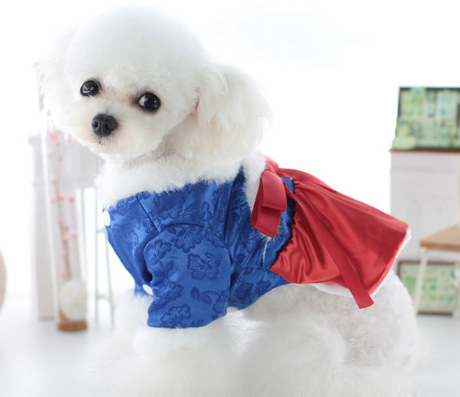 강아지 한복 고양이 설빔 원피스 코스튬 설날 옷 호랑이마켓, B, 1개