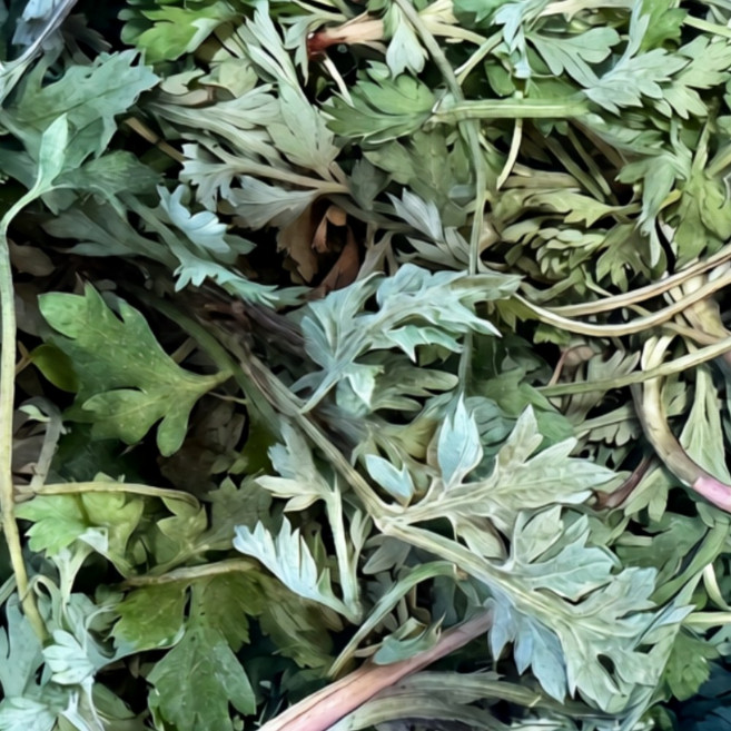 (무농약) 청담농수산 국산 거문도 해풍 쑥, 1개, 500g