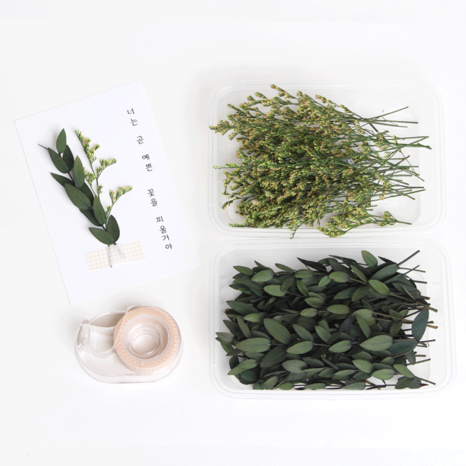 화연양화 청첩장 DIY 꾸미기 올인원키트 꽃2세트 테이프 커터기 포함, 01 그린