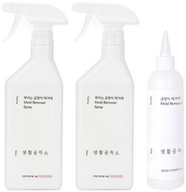 생활공작소 뿌리는 곰팡이제거제() + 바르는 곰팡이제거제(), 2개, 300ml