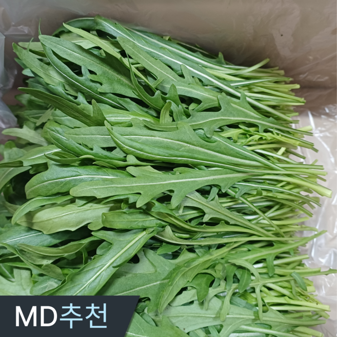 삼시세끼연구소 부드럽고알싸한 와일드 루꼴라 최상품, 1박스, 500g