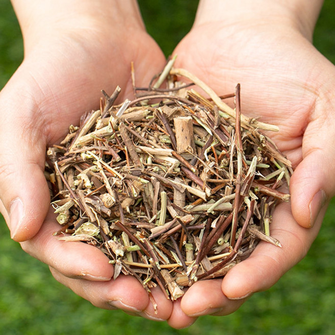 국산 말린 인동덩쿨 200g 덩굴 인동초 꽃 금은화 마른 차 건조 건 한방 차, 2개