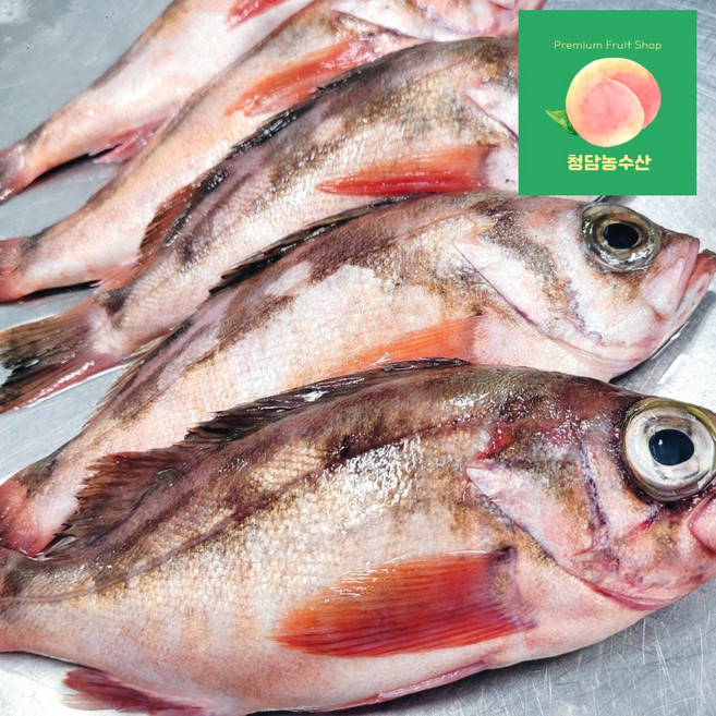 청담농수산 가거도 자연산 손질 급냉 불 볼락, 1개, 2kg