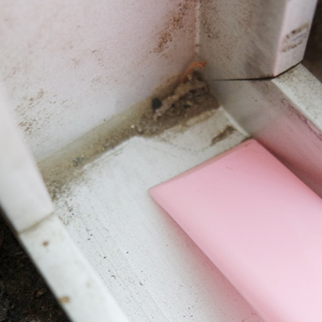 엘리도도 스크래퍼 스틸 헤라 탁월한 선택! 껌자국제거스크래퍼