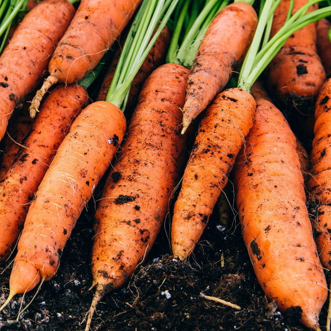 [리뷰만족도1위]아삭달큰 슈퍼푸드 제주 구좌 햇 흙 당근, 1박스, 중 3kg (Best)