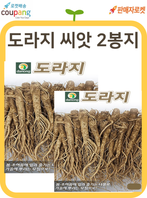씨드림몰 도라지 씨앗 종자 산채류 약초 2봉지 텃밭 주말농장, 2개