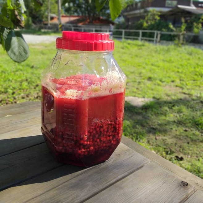 [해피메이킹] 2025년 생오미자절임 10kg (원당), 1개