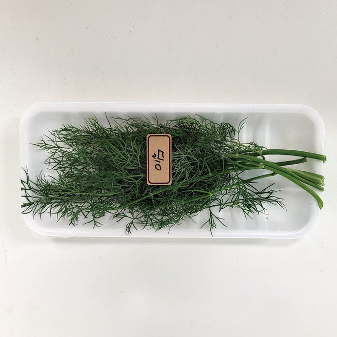 야채왕 허브 생잎 딜 Dill 10g 향신료 1팩, 1개
