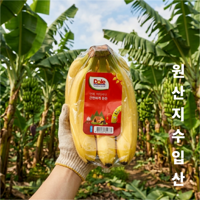 달달한 고당도 스위티오 돌 바나나, 1박스, 2송
