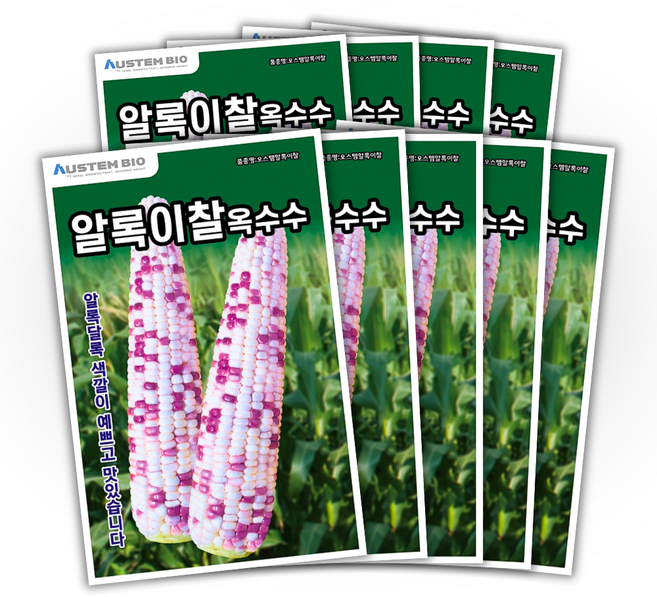 주주씨앗 알록이찰옥수수 씨앗 150립 얼룩찰옥수수 씨앗 다수확 통큰 옥수수, 9개