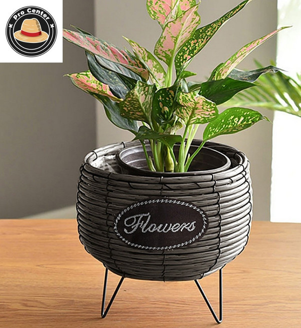 리프로센터 힐링하우스 스탠드 화분바구니 그레이 내추럴 플랜테리어 거실화분