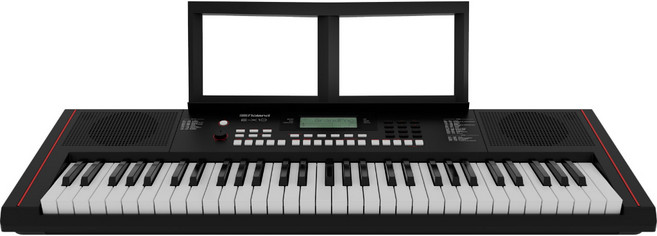 Roland E X10 61鍵電子琴 伴奏琴 可接麥克風 保固2年, 1個, 單機+延音踏板