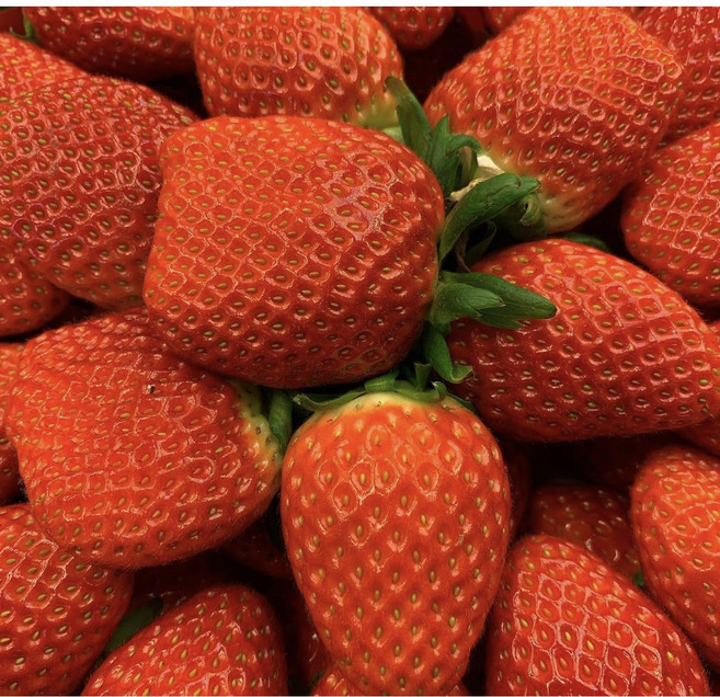 25년 수확 국산 특 프리미엄 설향딸기 500g 1kg 딸기 장희딸기 중과 생딸기 산청 최고급 논산 설향 장희 금실 킹스베리 딸기, 1개
