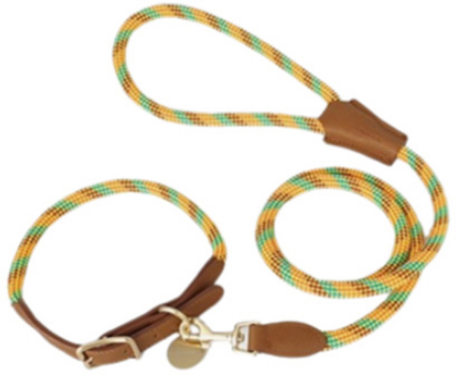슈펫 중형견용 로프형 목줄 리드줄 세트, 1개, 옐로우