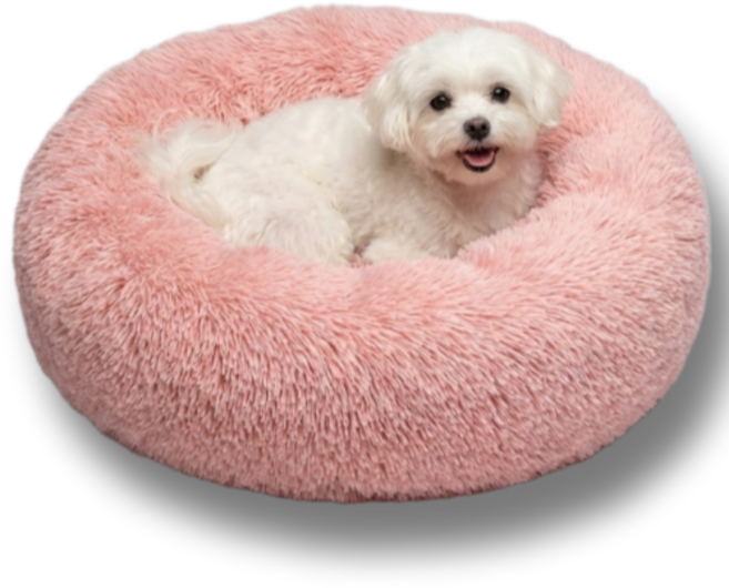 애틱트 반려동물 도톰 딥슬립 쿠션, 핑크, 1개