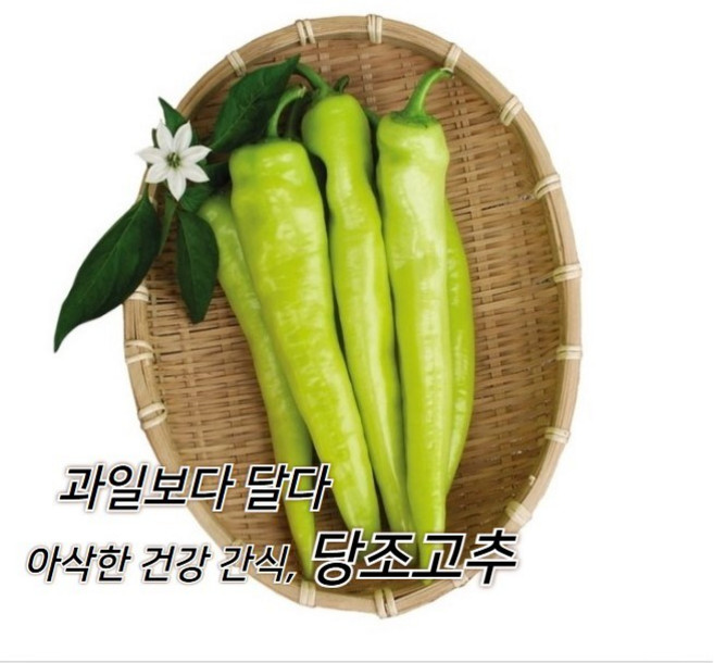 혈당조절 이색채소 당조고추 아삭 과일고추, 1박스, 1kg
