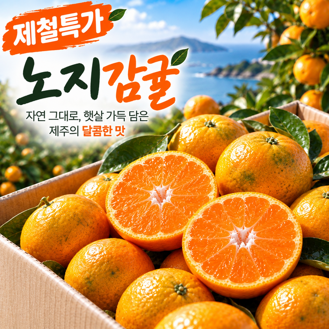 GAP 인증 제주 서귀포 감귤 로얄과, 1박스, 5kg