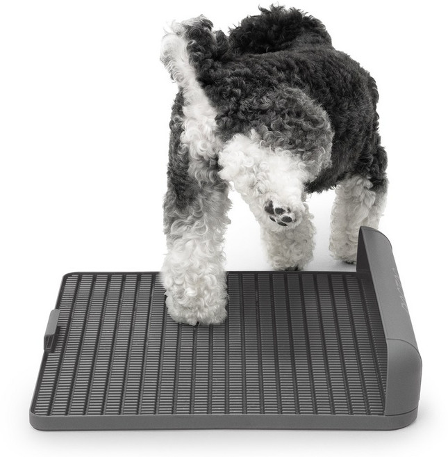 독톡 강아지 배변판 패드필요없음, 실버, 1개