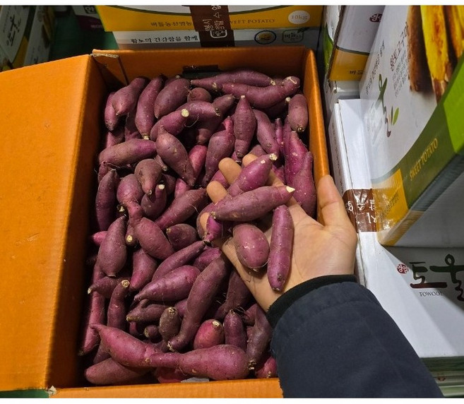 국내산 영암 버들농산 토울 황토고구마 소소쫄 5kg 10kg 알뜰농장, 1박스