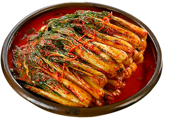 [TV홈쇼핑정품 인포벨] 이인화 명인 얼갈이 김치 전통 수제 남해 전라도 김장 반찬 숙성 저염 추천 명절, 1박스, 5kg