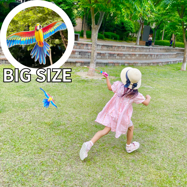 달리야 낚시대연 낚시연 세트, DLA 빅사이즈 앵무새, 1개