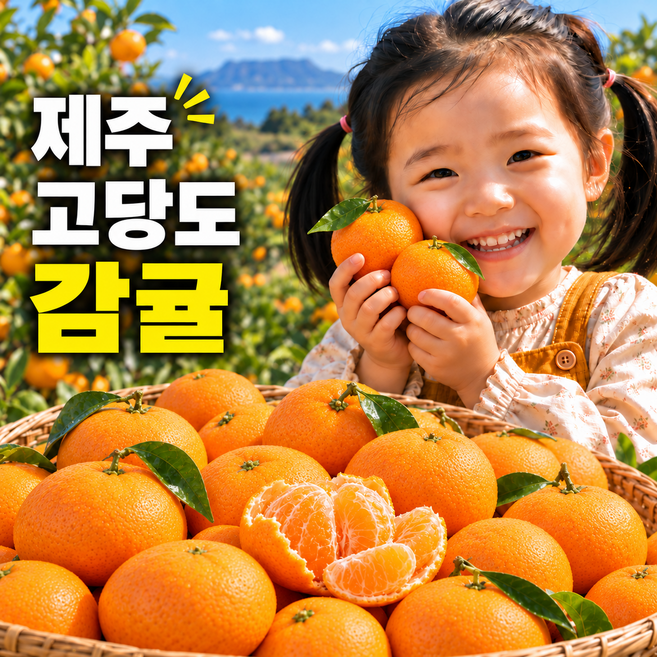 청정 제주산 고당도 감귤, 1박스, 대과 5KG