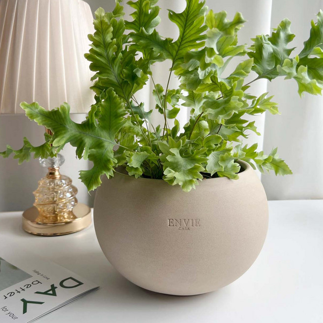 앙비까사 진주토분, 베이지(토분만), 1개