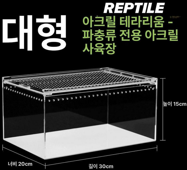 아프리카왕달팽이 금와달팽이 달팽이키우기, 라지 30x20x15cm, 1개, 1L