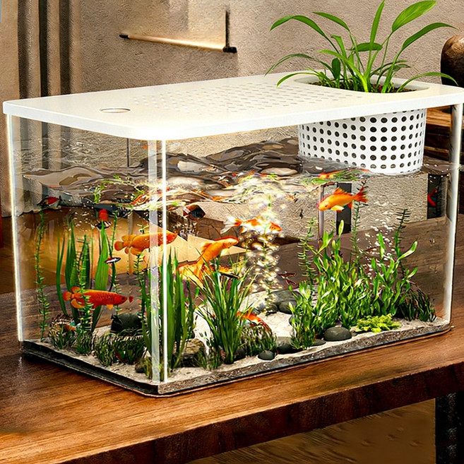 혜신 깨지지않는 안심어항 투명 넓은 어항, 1개, 화이트