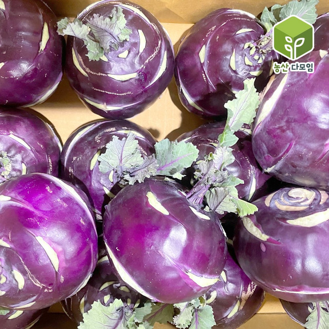 국내산 콜라비 15kg, 1개