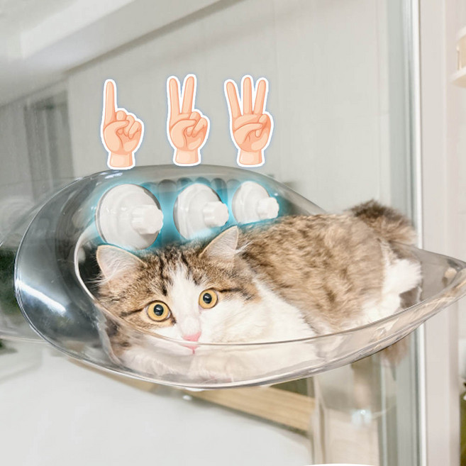 견행묘행 고양이 창문해먹 투명 캣타워, 1개, 투명아크릴