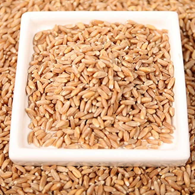 해피스토어70 고대 통곡물 파로 엠머밀 파로쌀, 4개, 1kg