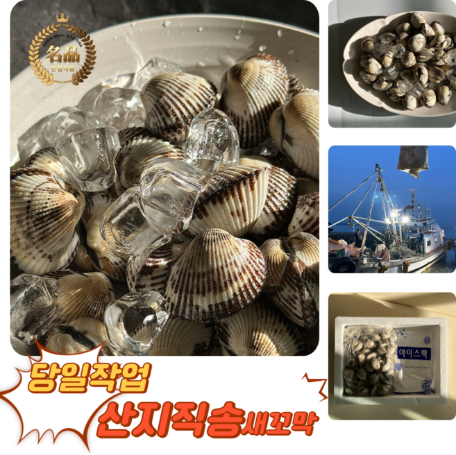 [굿피플] 새꼬막 새꼬막살 벌교꼬막 고막 벌교세꼬막 꼬막비빔장 참꼬막, 1박스, 새꼬막 1kg 대